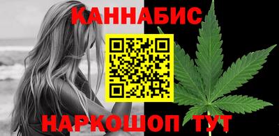 сатива Славгород