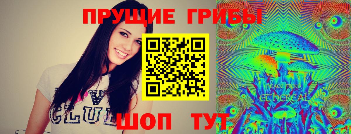 продажа наркотиков  Вход с VPN  Галлюциногенные грибы Cubensis  Самара  Псилоцибиновые грибы мухоморы 